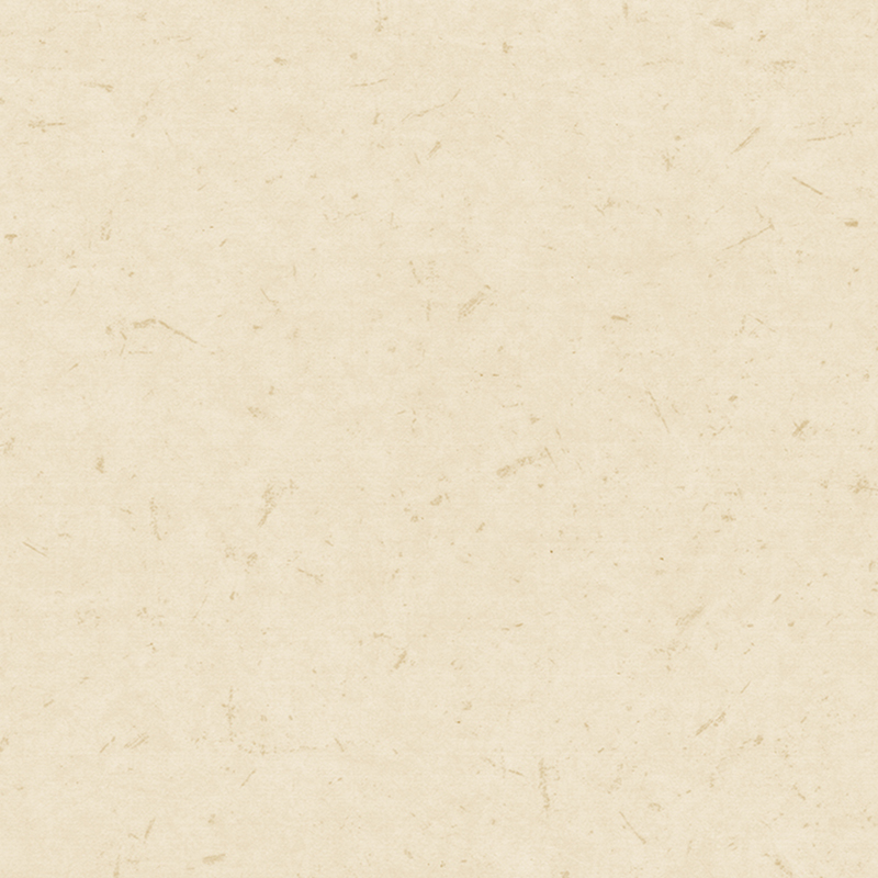 Lantai heterogen anti-bakteria & anti-statik