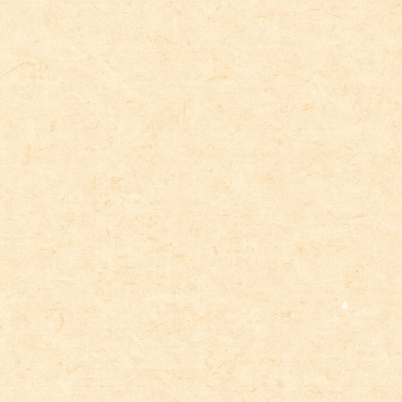 Lantai heterogen anti-bakteria & anti-statik