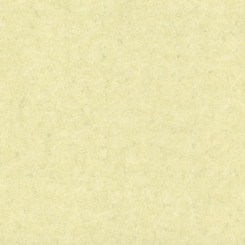 Lantai heterogen anti-bakteria & anti-statik