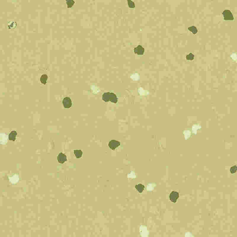 Lantai getah kalis calar & keanjalan tinggi