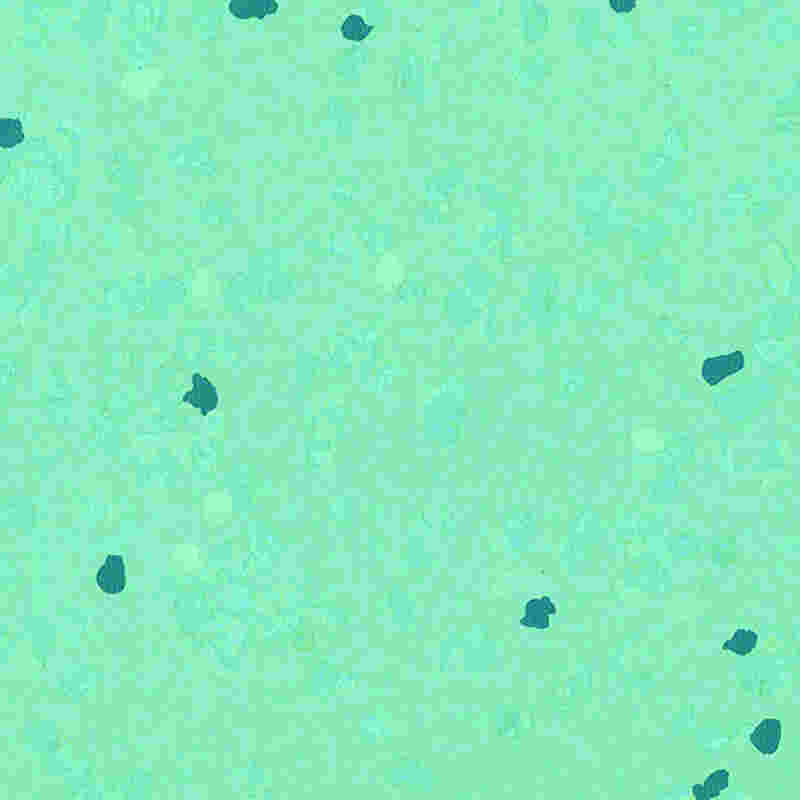 Lantai getah kalis calar & keanjalan tinggi