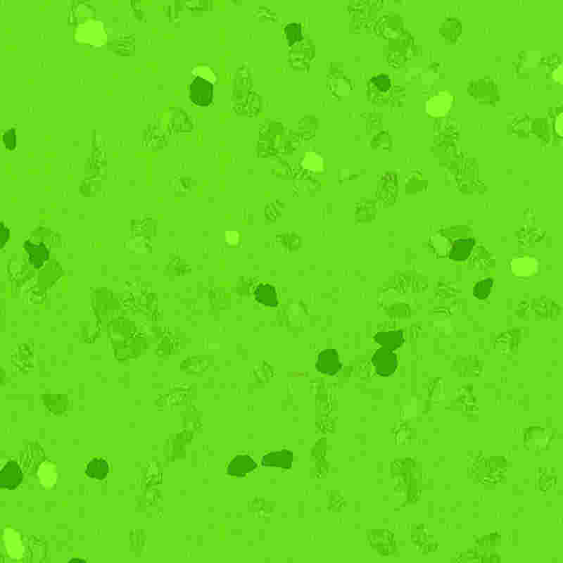 Lantai getah kalis calar & keanjalan tinggi