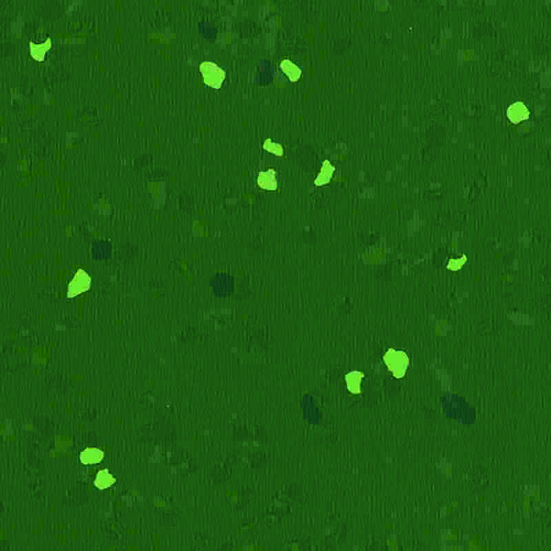 Lantai getah kalis calar & keanjalan tinggi