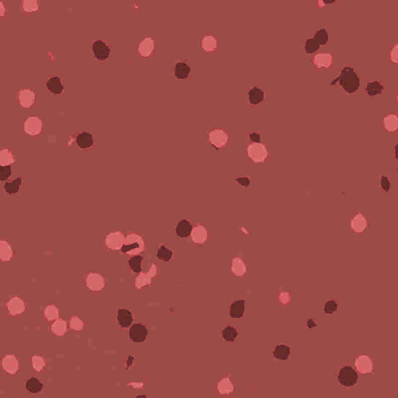 Kalis api dan lantai getah & plastik kalis air