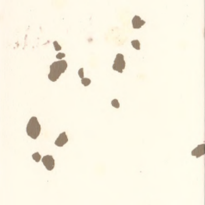 Lantai getah alam sekitar