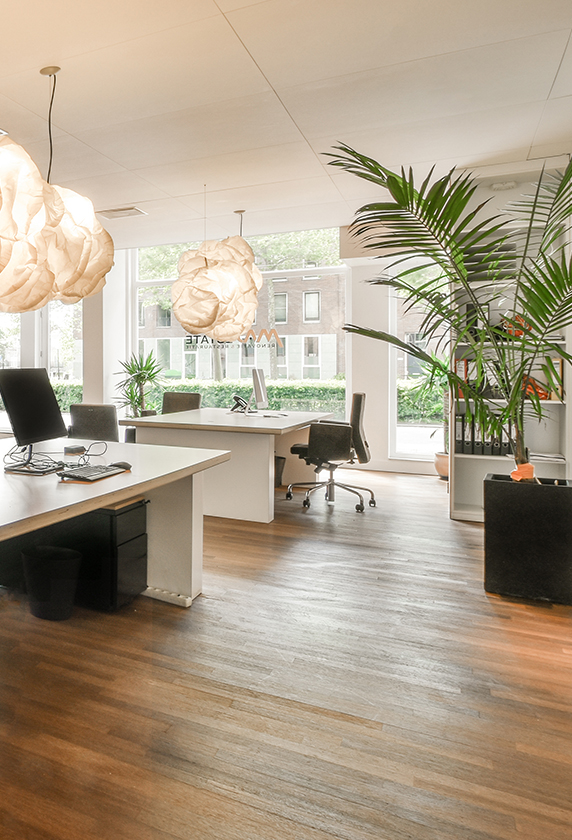 Flooring and Wall Decorating Materials